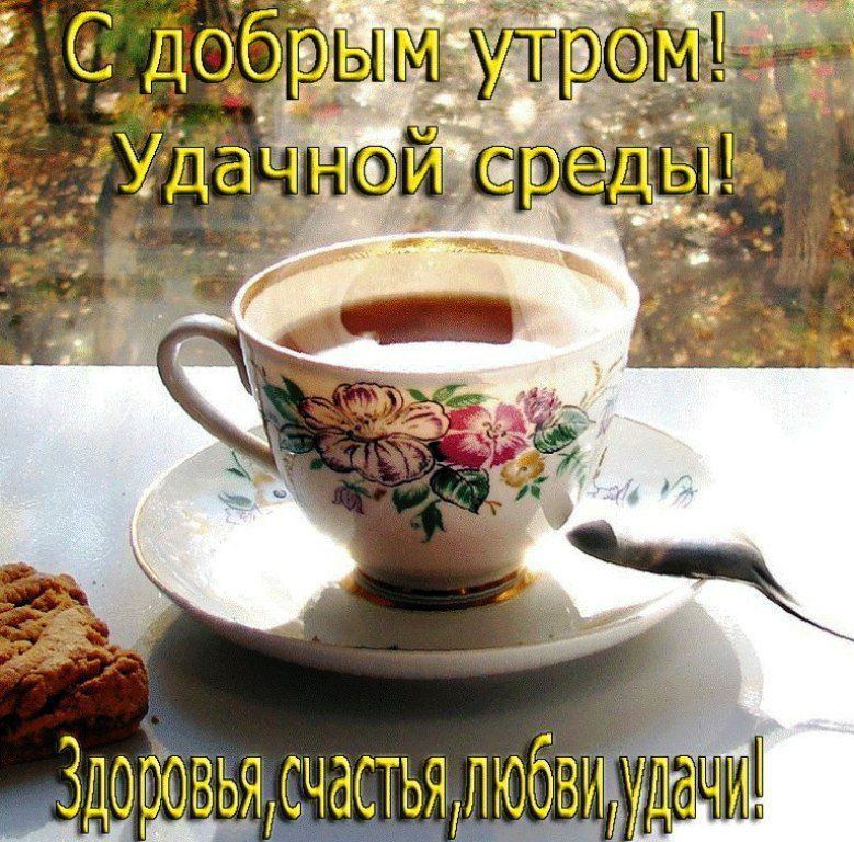 ������� �������: