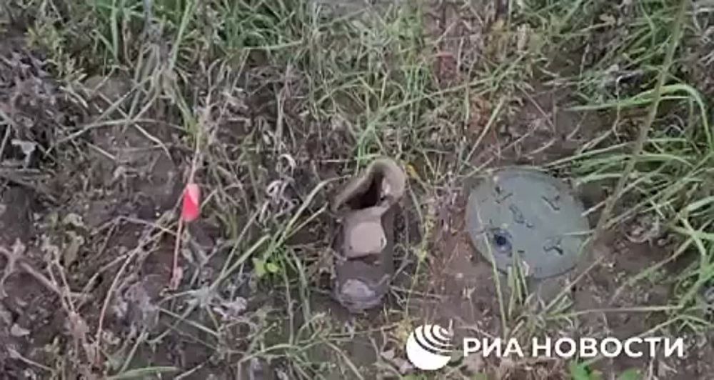 �� ������� ������ � ��� ���������� ���������� ������ ���� �� �������-��������� ���������������� ������������