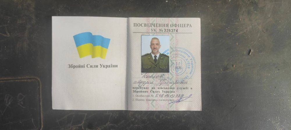 ���� �������: ����� � ���� �������. � ���� - ����. �� ������ - �������