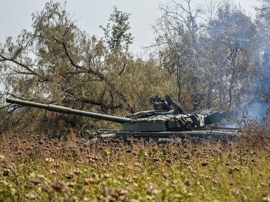 ������������ ������ �� �������: ������-����������