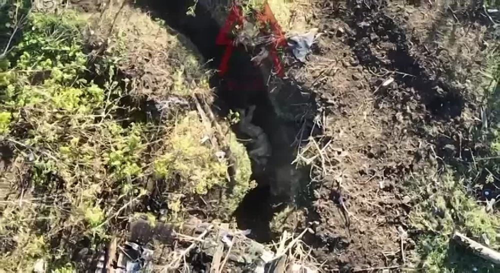 ����� ��� ������� ��� ���������� ����� ���� ��� � ������ ��������