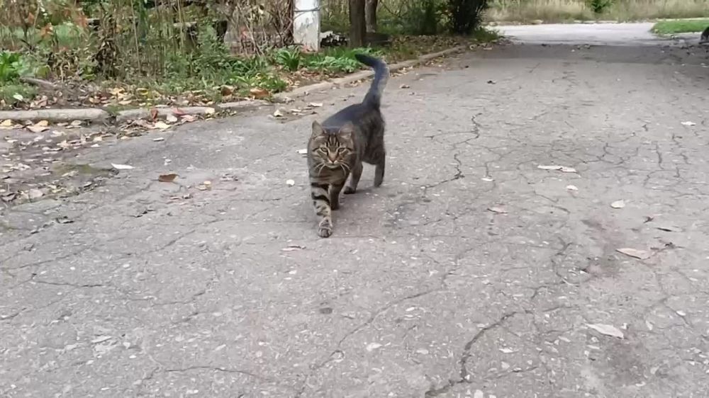 ������� ��������: ���������� ������ ��� � �����, ���� �� ����� �������� ������� �������� �� ����������