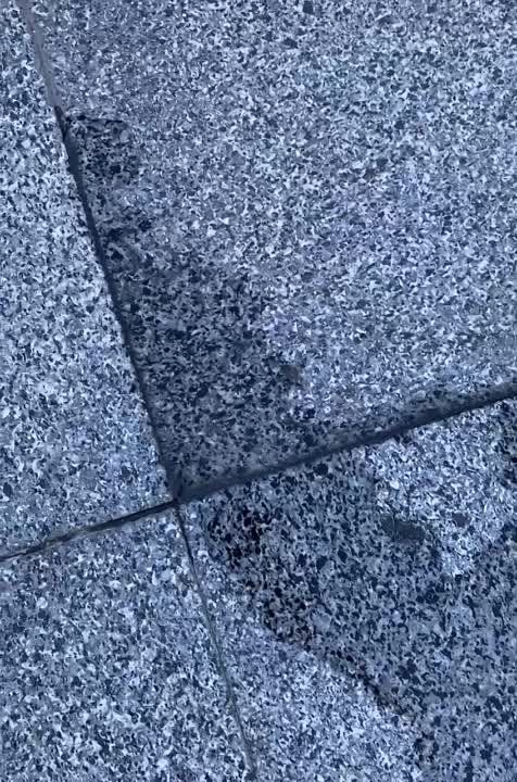 ���� ������� ��� - ��� ���� ����� ������, � ���� - ��������� ����� ��������� �������!