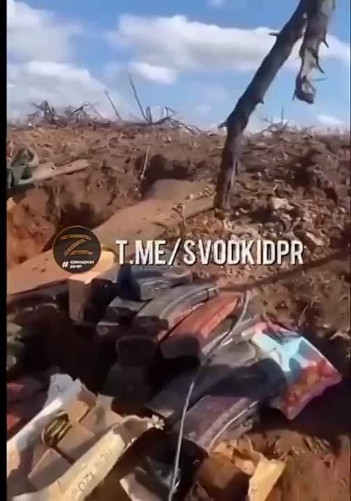 ���� ����� ���������� ������ �� �������� �����������