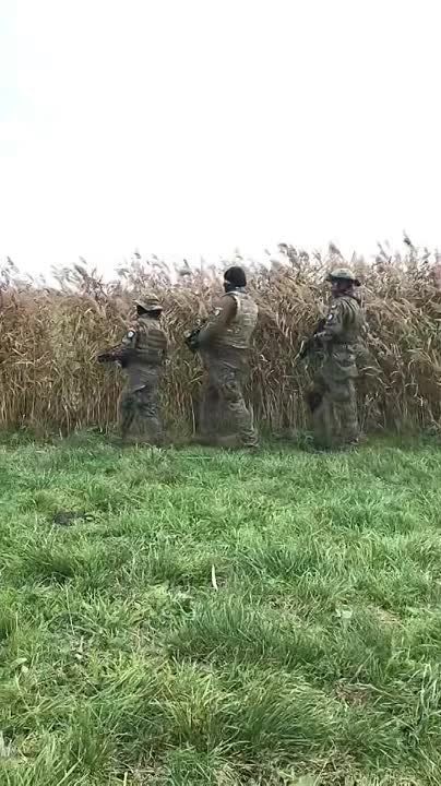���������� ����� ����� ����� �������� ���-��� ��� ����� � ������� ��������