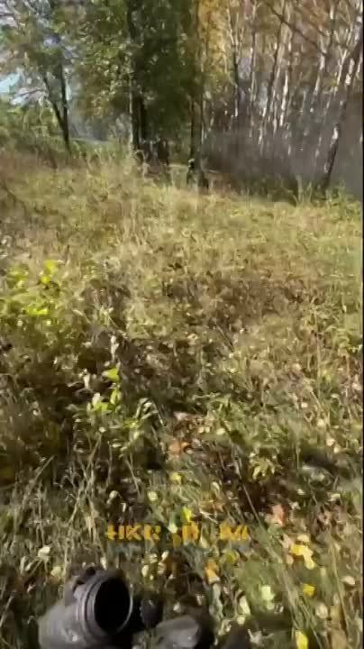 ��� �������� �������� �������� ���� ������������ ���������� � ���������� ������������ ������ ���