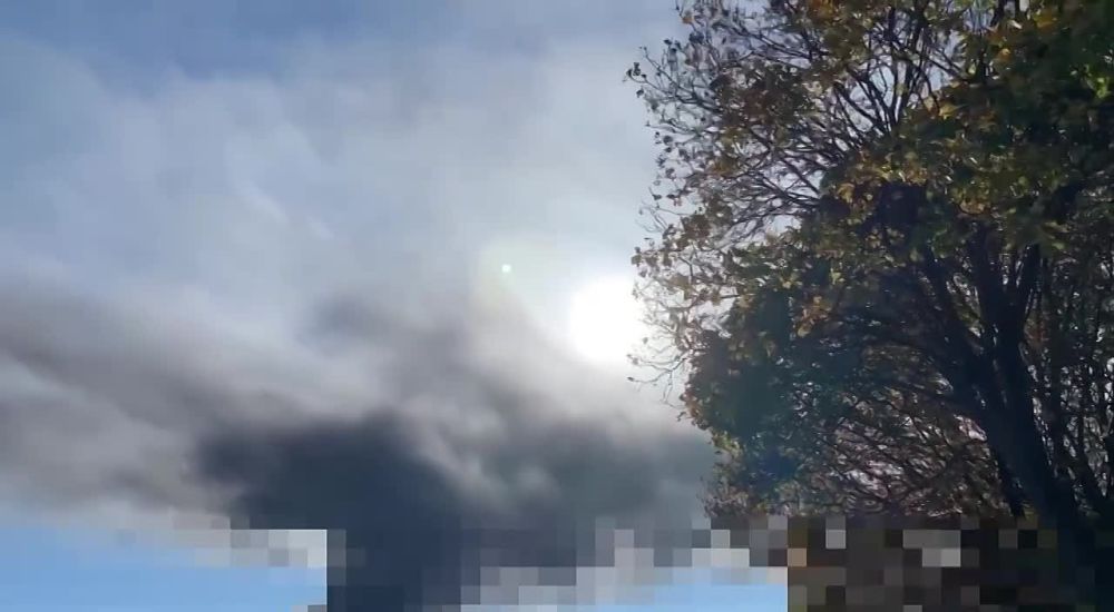 ����� ������ �������������� �������������� � ���������������� �������