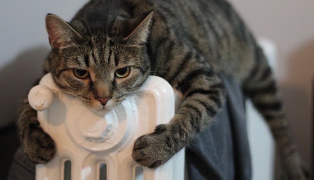 Отопление в ДНР будет включено после пяти холодных дней