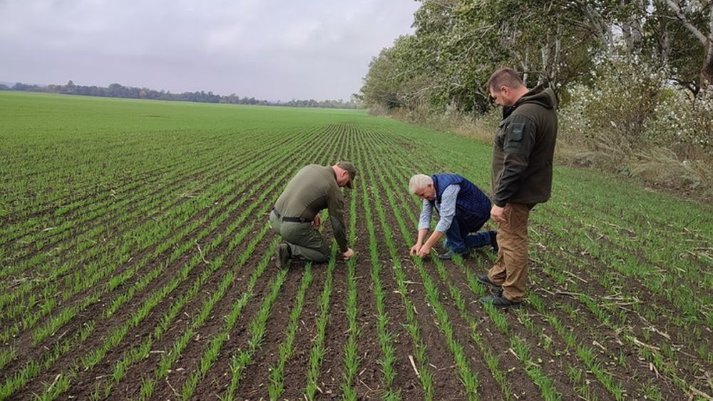 � ��� �������� �������� ������������ � ������ ��������