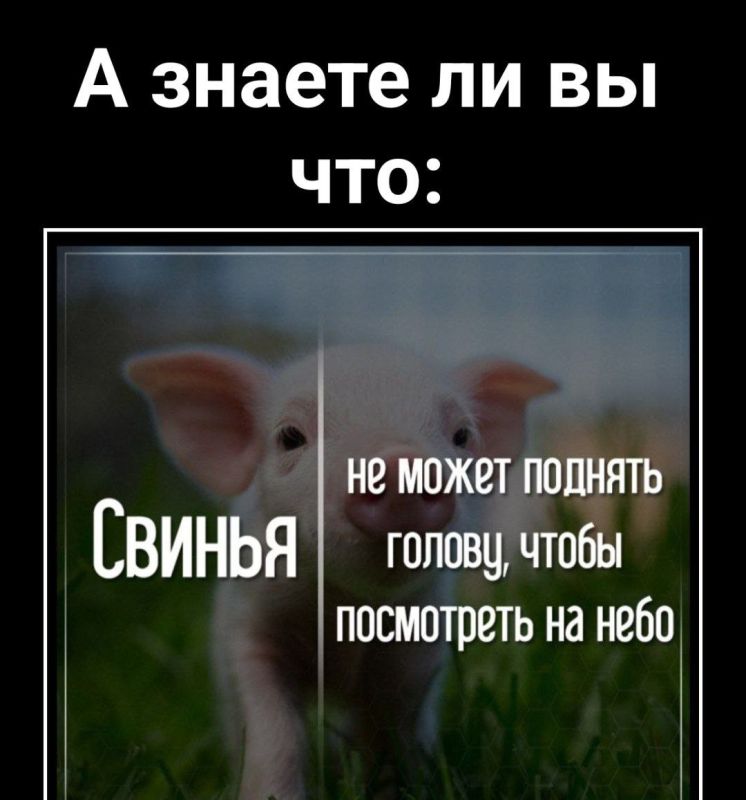 ������� ������ ������ ��� �������