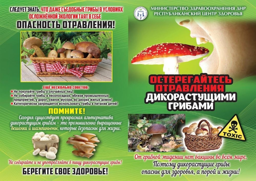 ���� ���������: ���� � ������������ � ���� ������, ��������� � ����� ������, ������������� ���������