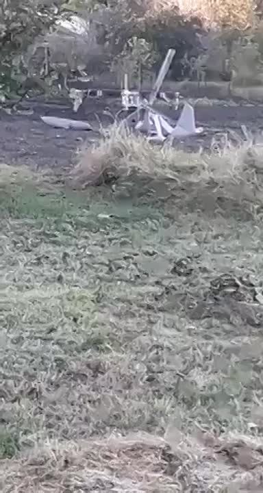 ������� ������������, ������� ������� ����� ��� ������