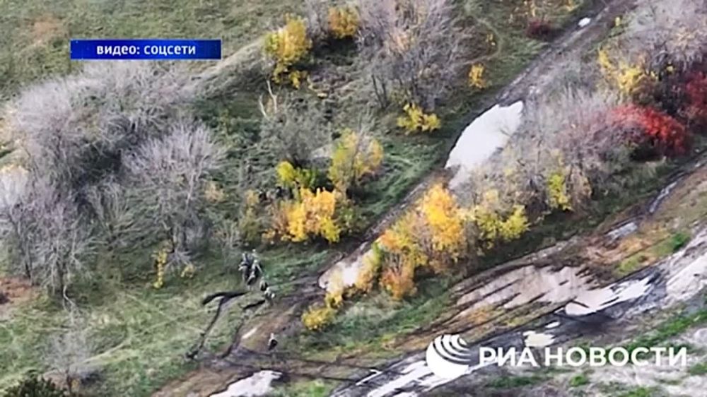 ������� �. ���������: ���������� � ���� ������������ �������� �����������