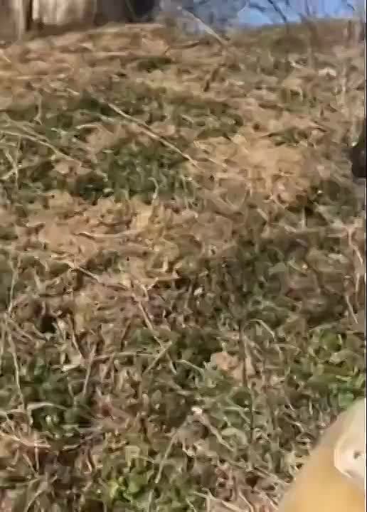 ����� ����� � ���������� ��������