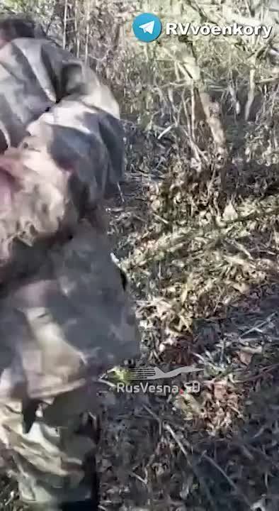 ���� �������� ��������� ������ ���������� ������� ��� ���������