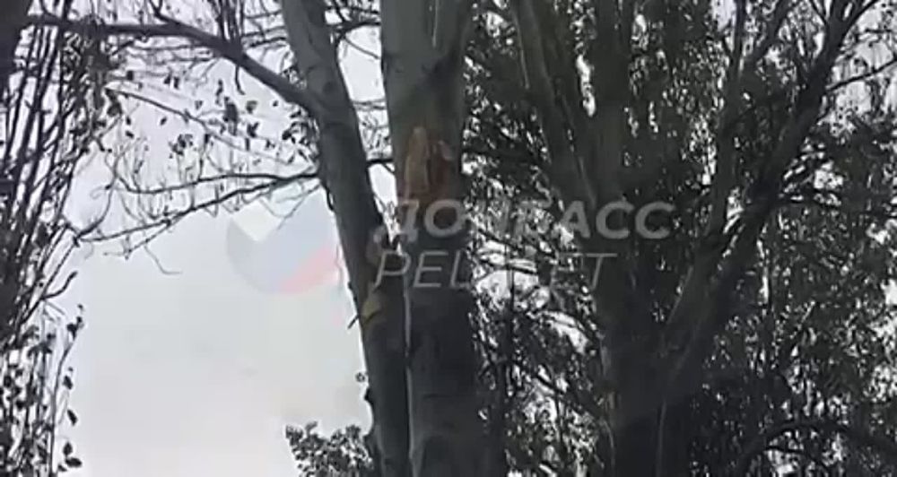 ������������ ������� ������ ���������� ������ ������� ���������� ����������� ������ ������������� ���������������� �������