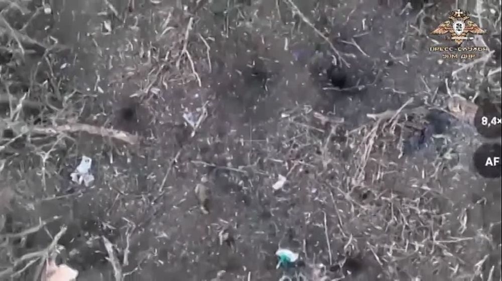 ���� �� ��� ������ ����� ����������� ������� � ���� ����� �� ����� ���