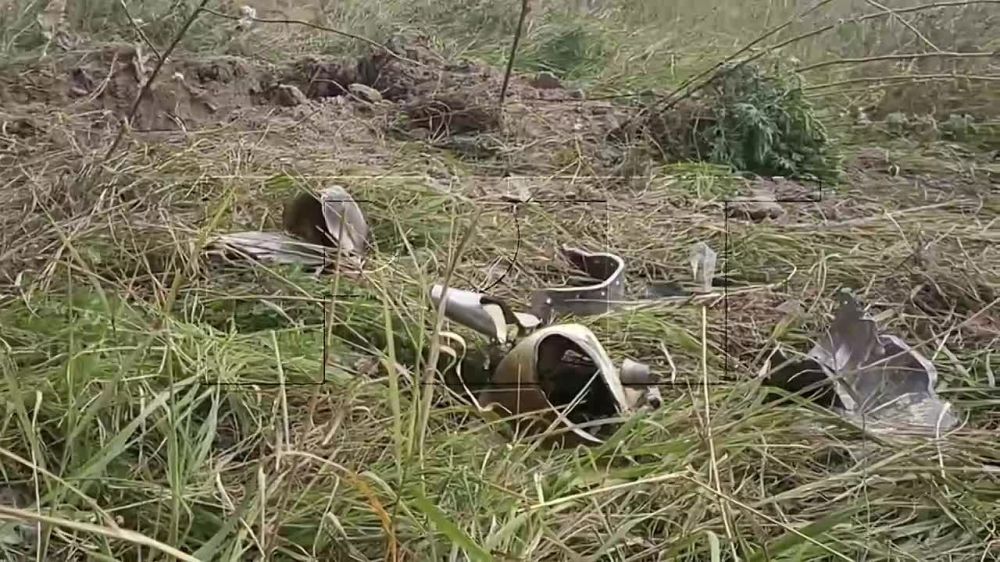 ������� ������� ������ �������� @neoficialniybezsonov