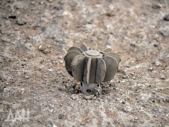 � ��� ��������, ��� � �������� � ���������� �������� ��� ����� ������������������