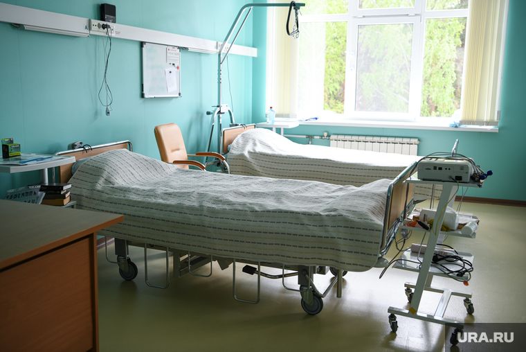 ����� ���������� � ��������� ������ telegram-������ WarGonzo