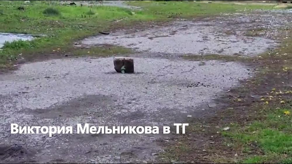 �������� ����������: ��� � ��� ���������� "��������"