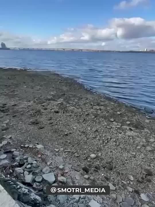 � ��������������� ����������� �������� �������� ������ ���� � ���� �����