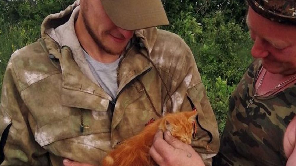 ����, ����������� � ���, �������� ���������� �������� ��� �������