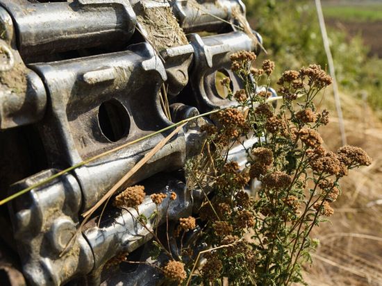 ������ "����", ��� �� �������: ������-���������� 26 �������