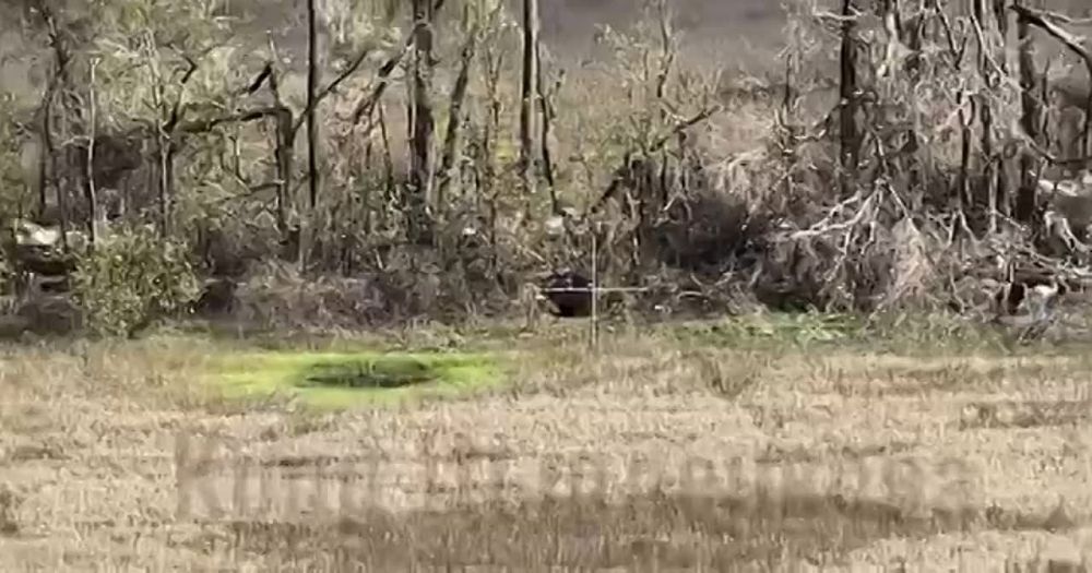 �������������� �� ��� �������� ����������� �� �������� ��� � ������ ��������