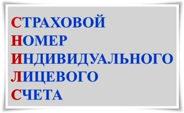 �����: ������������ ������ �� ����������� ������� ����������