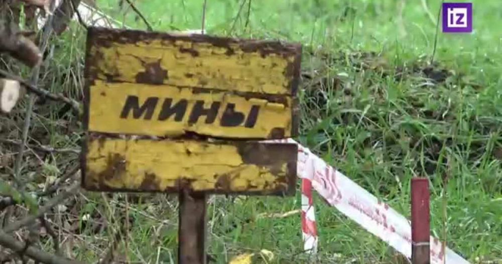 ������ ����������� ���������� � ������������� �� ��� ��������