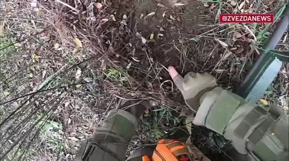 ������-����������� ������������� ������������� ������ ��������