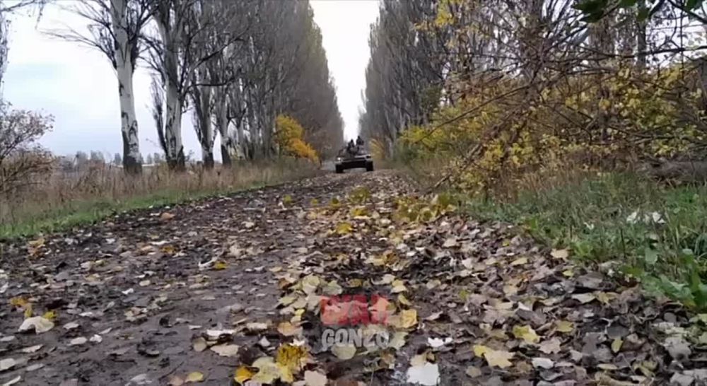 WarGonzo: ������ ���������� ���������� ����������