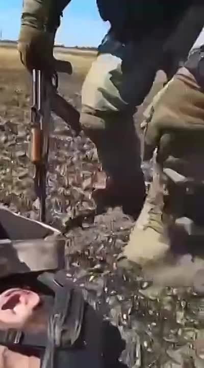 ������� ������ ������ � ������ �������
