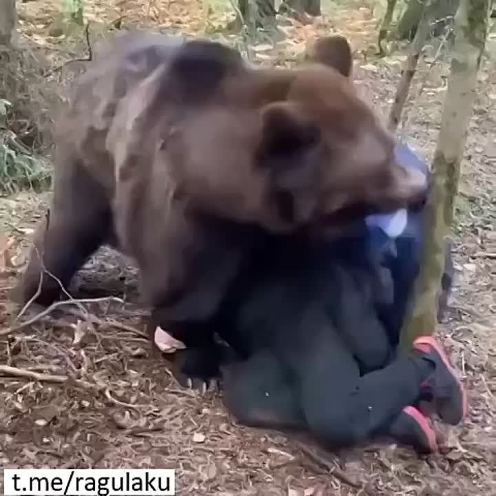 ������� �������� ��������, � ��� �������� ������ ���� - ������� ��������! �� ��� - ��� �� ������!