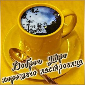 ������� �������: