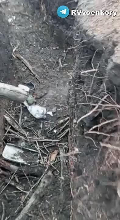 �������� ��������� ���������� ��� ��� ��������