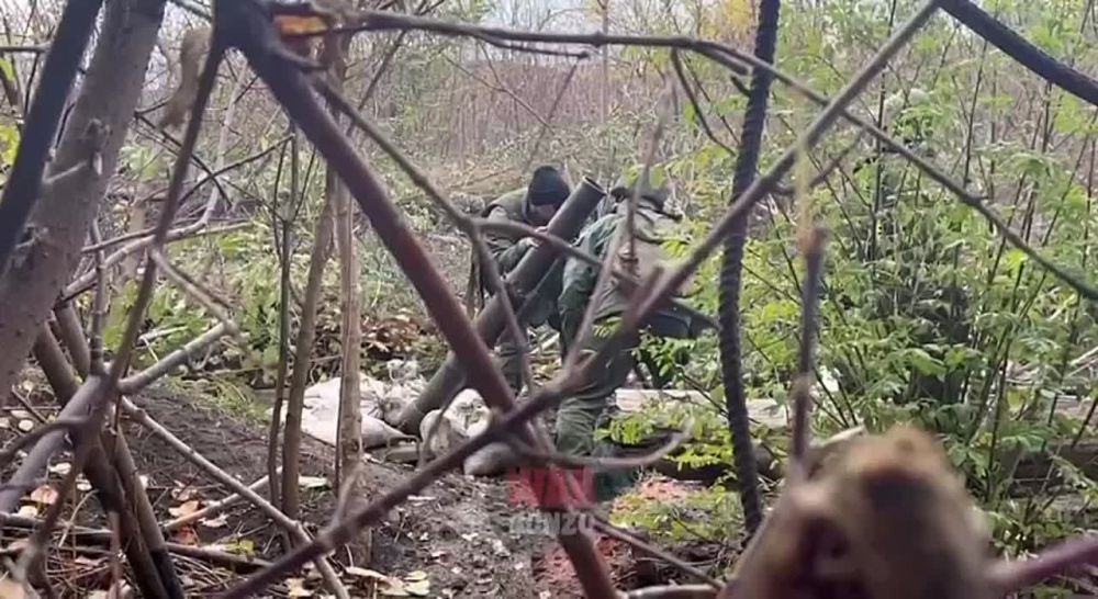 WarGonzo: ����� ��� ���������� 11-�� ����� ������ ��� ��� ���������