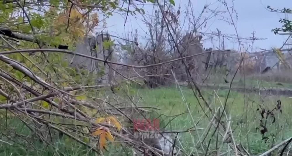 WarGonzo: ��������� ������� ��� ������� ����������� � ��� ��� ���������