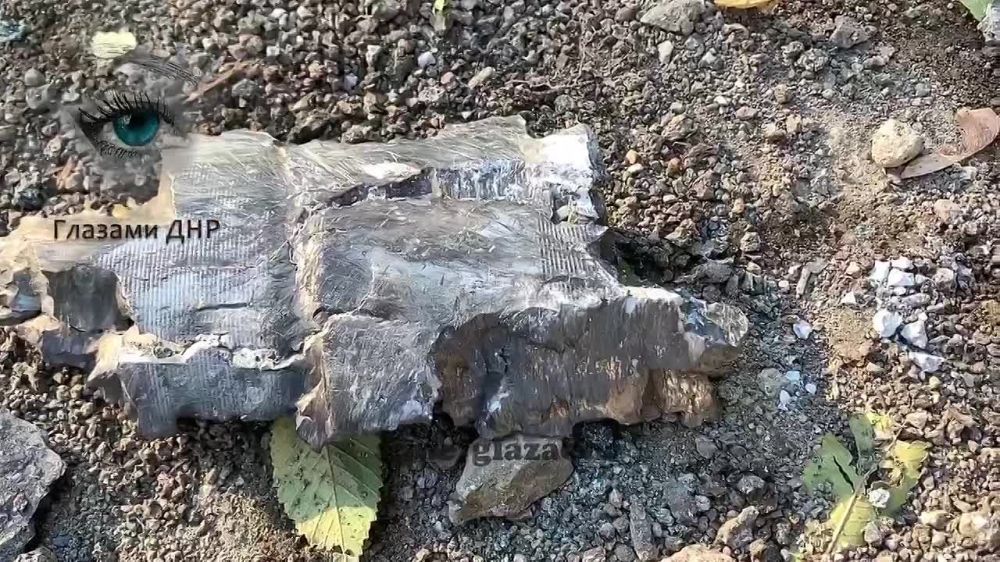 ����������� �������� ��������� ����������� ����� �� "����������" � ������������� ������ �������