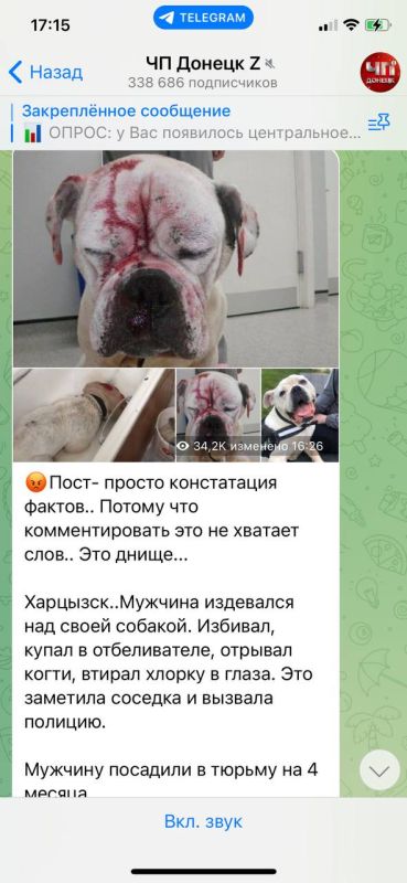 ��� �� ������ ��� ������ ����� ������� �� ����������� ������