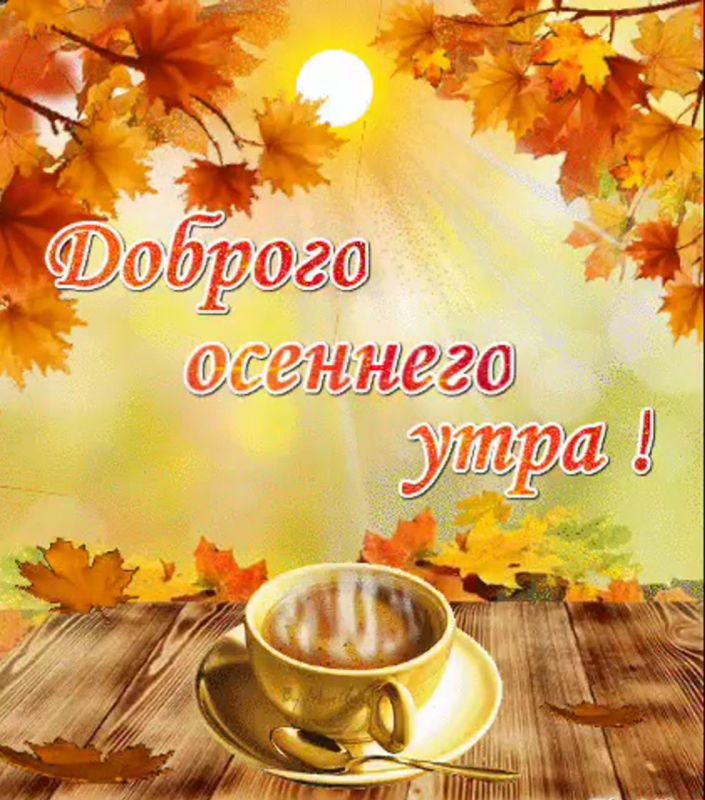 ������� �������: