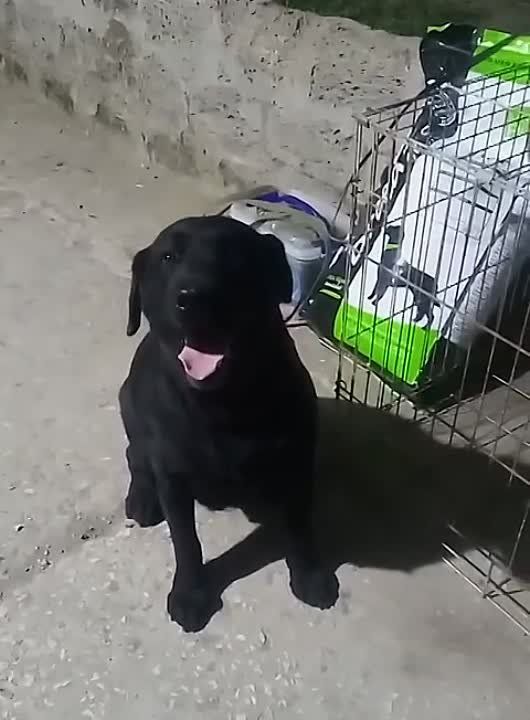 �������� �� ������ ������� �� ����������� ��������� ������ ������ ������� � ���� ���