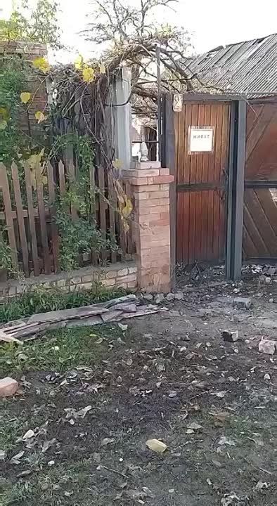 ��������/������ - �������