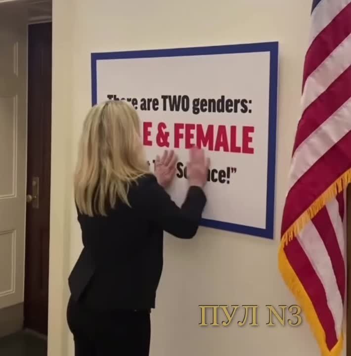 ����� ��� ����: ������� � �������