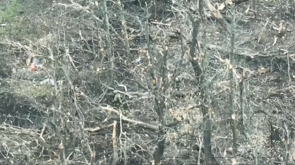 ��������� � ���������. ����� ����� �� �������� RT ������ �������� @FilatovCorr: ����������� �������� ��� � ������������� ������