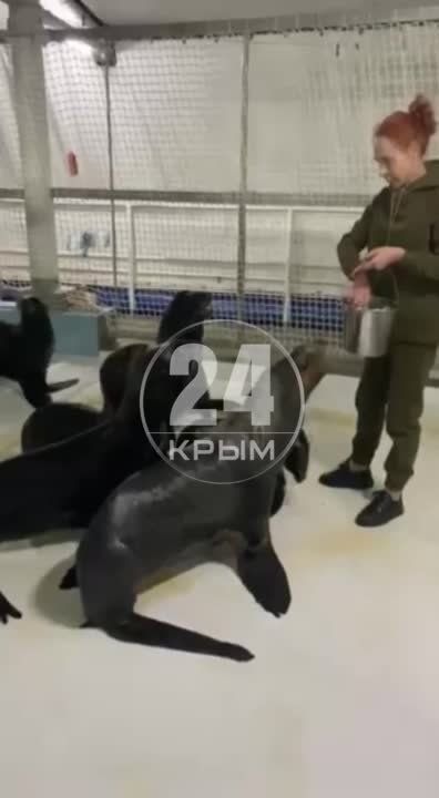 ������� ������� ������� �� �����������, ������� ����� ������� � ���������, ������������ ������ ��������� � �������� ����, ��������� �� ���������