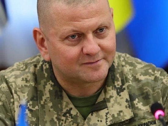 ����� ������� ��л ����������� ������ ��������� �������� ��� ���������