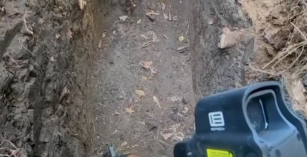 ����� ������� ���. ����� ����� �� ���� "���������"