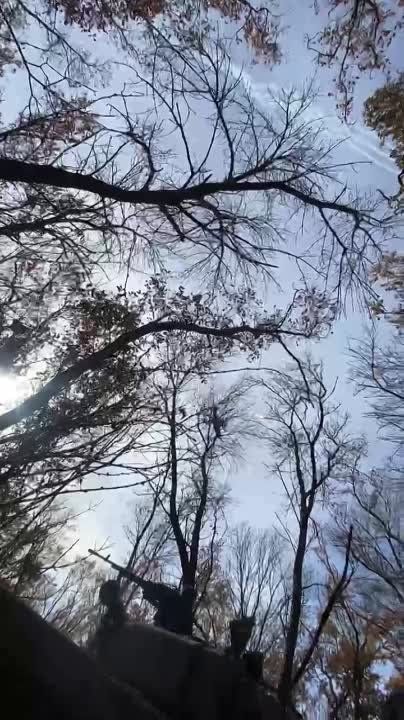 ���� ���������: ���. ������� �� �����